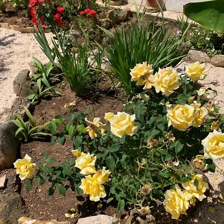 Сasa de vacaciones Casa Fagundes Com 3 Quartos